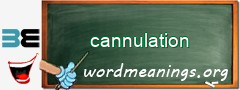 WordMeaning blackboard for cannulation